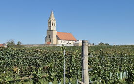 Nikolaimesse